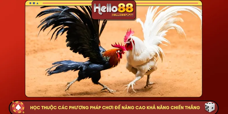 Học thuộc các phương pháp chơi để nâng cao khả năng chiến thắng