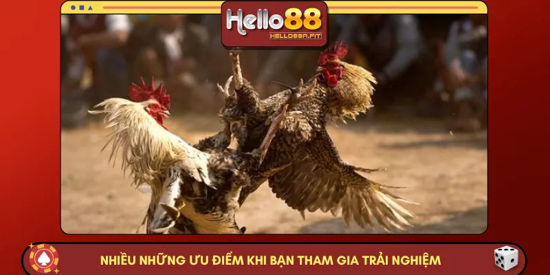 Nhiều những ưu điểm khi bạn tham gia trải nghiệm 