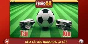 Kèo Tài Xỉu Bóng Đá Là Gì? Hướng Dẫn Chi Tiết Cùng HELLO88